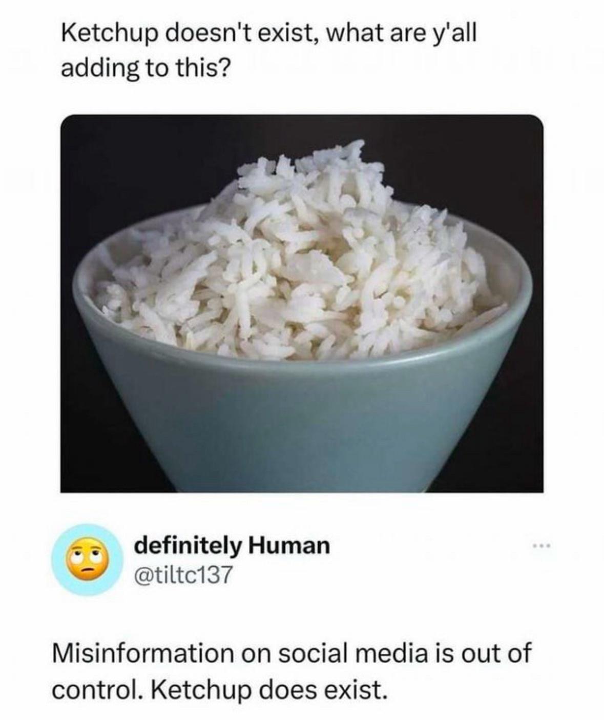 30 Hilarious Memes To Spice Up Your Monday Scroll 25 Ketchup doesnt exist