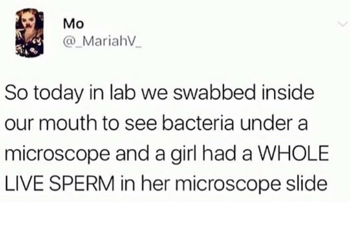 20 Memes for Silent Scrolling with an Unpredictable Blend of Laughter 8 Lab test