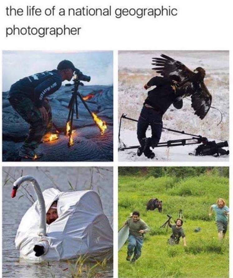 30 Best National Geographic Cameraman Memes Of All Time 28 Life of a camera man