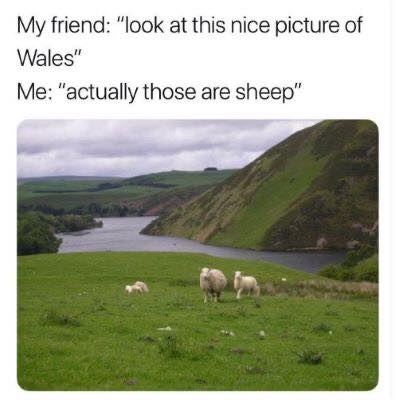 30 Random Memes To Make Your Sunday Better 28 Look at this nice picture