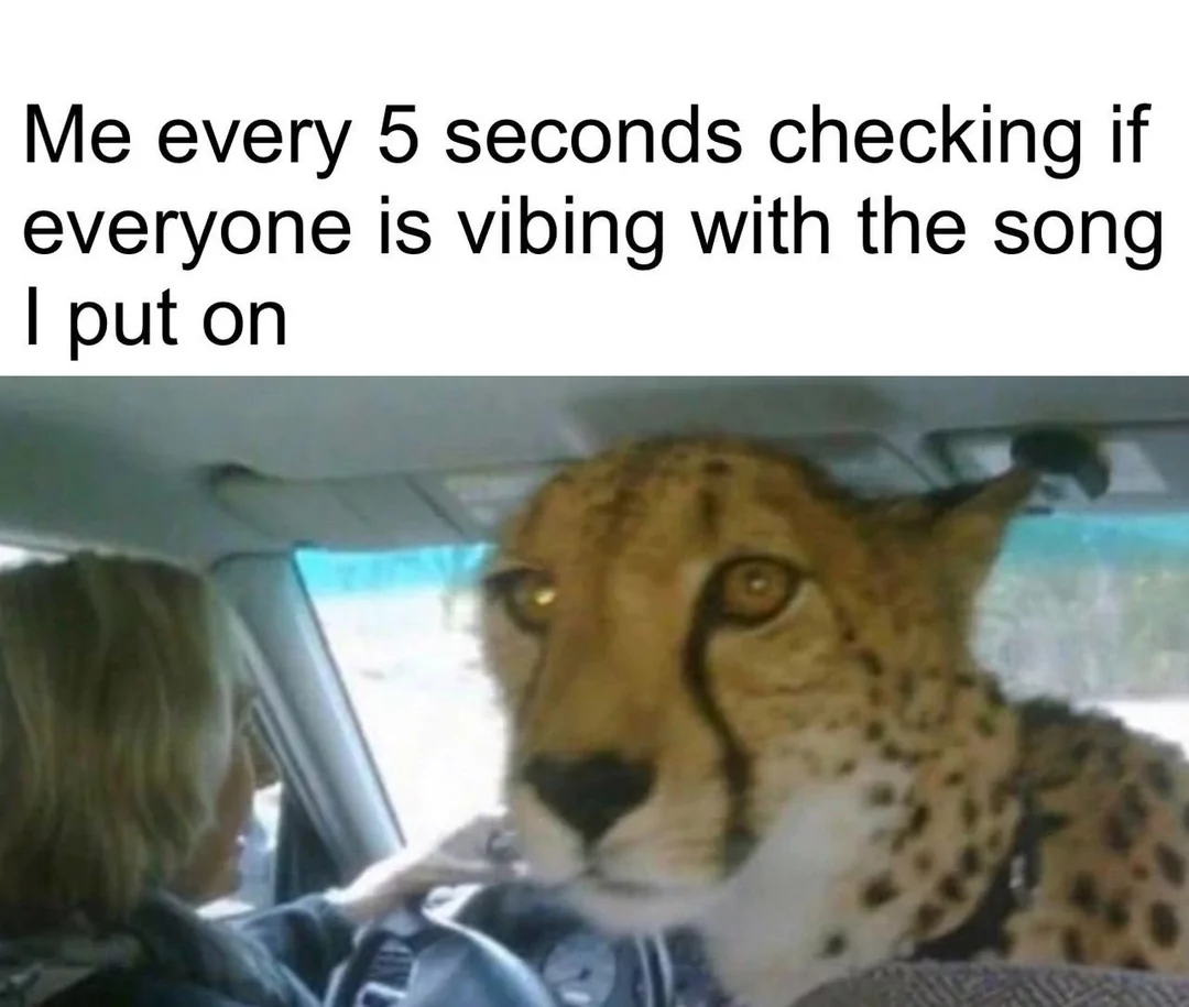 25 Cheetah Memes That Pounce on Humor! 26 Me every 5 seconds
