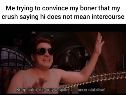 25 Crush Memes That Sum Up the Awkwardness of Secret Admirations 13 Me trying to convince - Crush Memes
