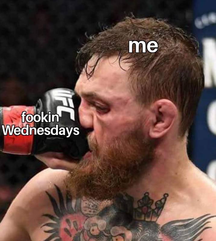 The Best Hump Day Memes To Start Your Wednesday 8 Me vs Wednesday