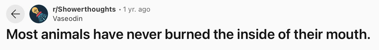 25 Funny and True Shower Thoughts That Will Make You Rethink 10 Most animals have never burned the inside of their mouth