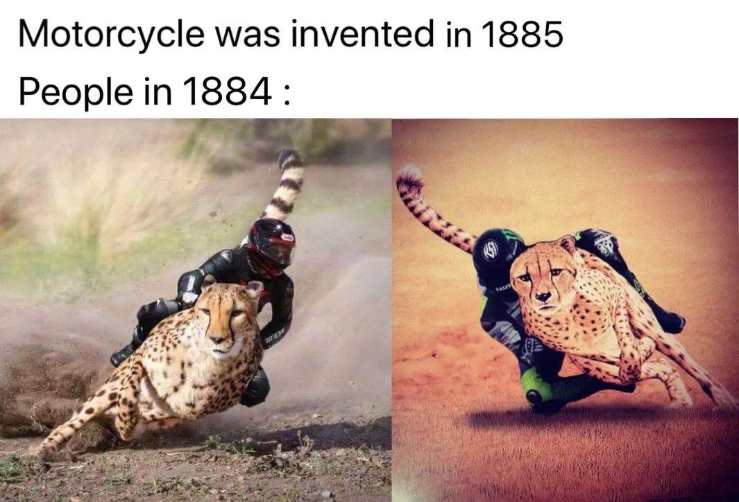 25 Cheetah Memes That Pounce on Humor! 27 Motor cycle was invented