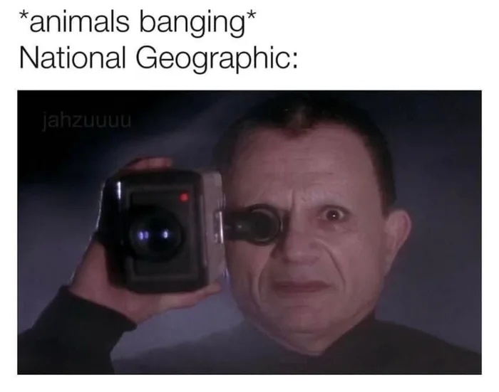 30 Best National Geographic Cameraman Memes Of All Time 29 National Geographic always gets the best shots