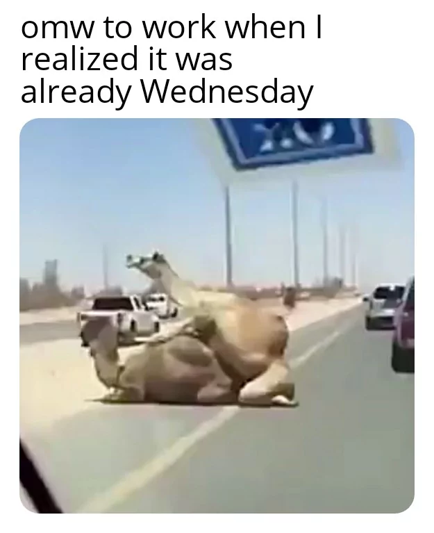The Best Hump Day Memes To Start Your Wednesday 10 On my way to work
