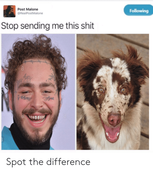 20 Best Stop Sending Me This Shit Memes 18 Post malone - Stop Sending Me This Shit Memes
