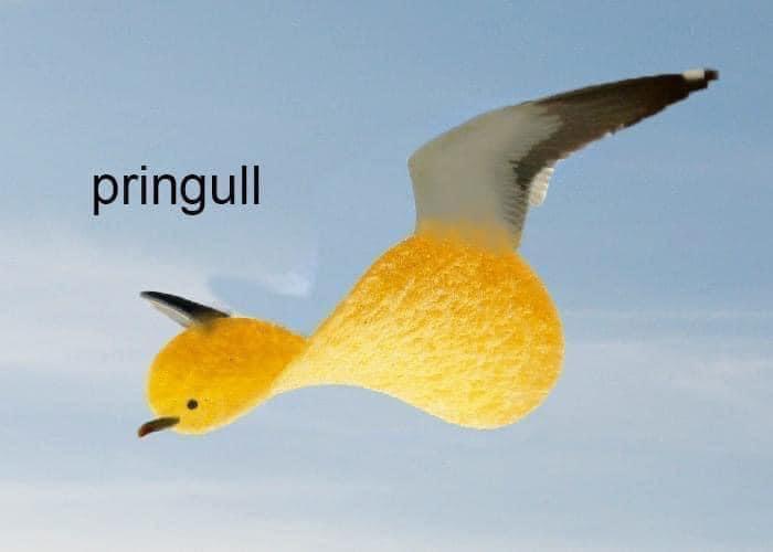 35 Funniest Pun Memes That Are Damn Punny 34 Pringull