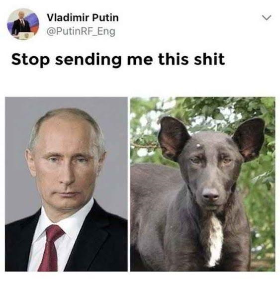 20 Best Stop Sending Me This Shit Memes 19 Post malone - Stop Sending Me This Shit Memes