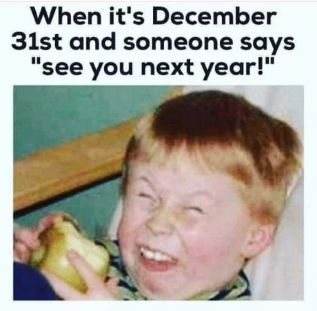 23 New Year Memes to Kick Off 2025 with Laughter 18 See you next year - New Year Memes