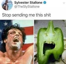 20 Best Stop Sending Me This Shit Memes 20 Silver stallone - Stop Sending Me This Shit Memes