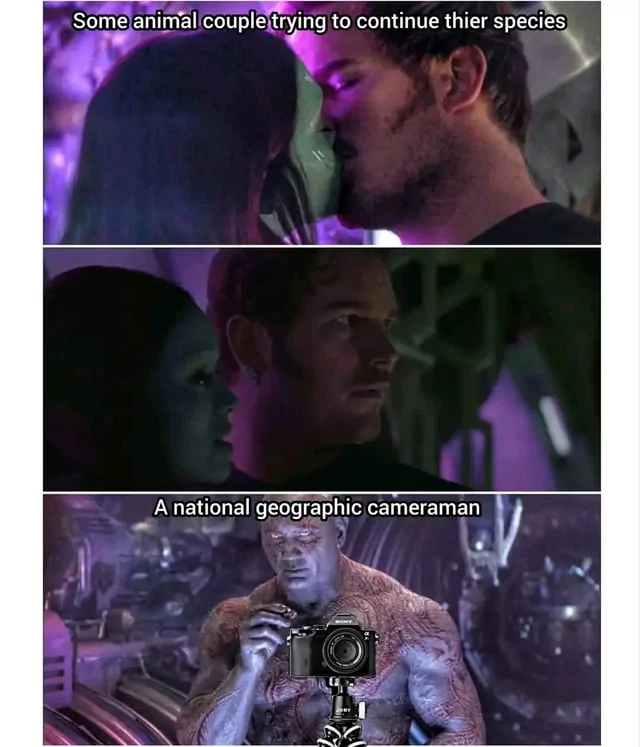 30 Best National Geographic Cameraman Memes Of All Time 22 Some animal couple - National Geographic Cameraman Memes