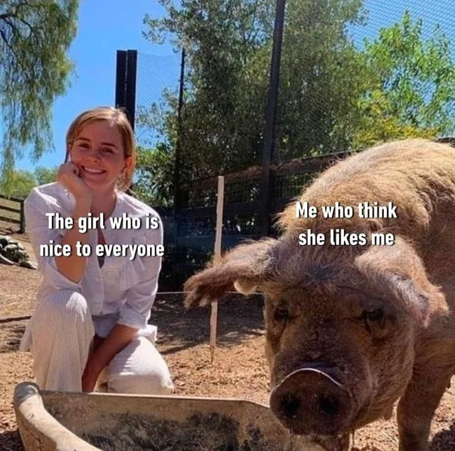 30 Crush Memes That Sum Up the Awkwardness of Secret Admirations 21 The girl whos is nice to everyone - Crush Memes