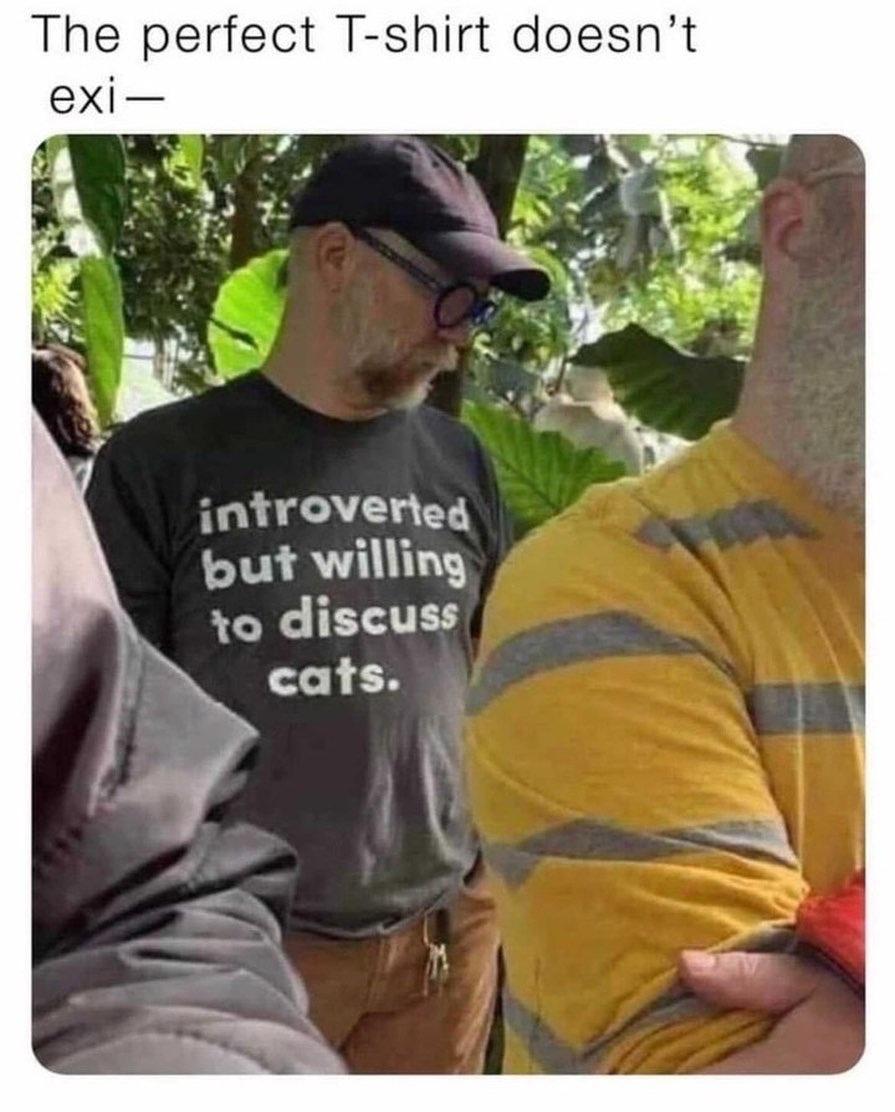 Top 25 Introvert Memes That Every Introverted Soul Will Relate To 26 The perfect t-shirt - Introvert Memes