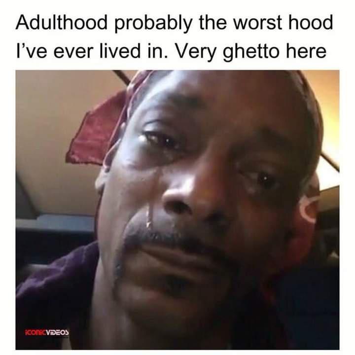35 Funny Memes That Prove Adulting Is Hard 33 The worst hood