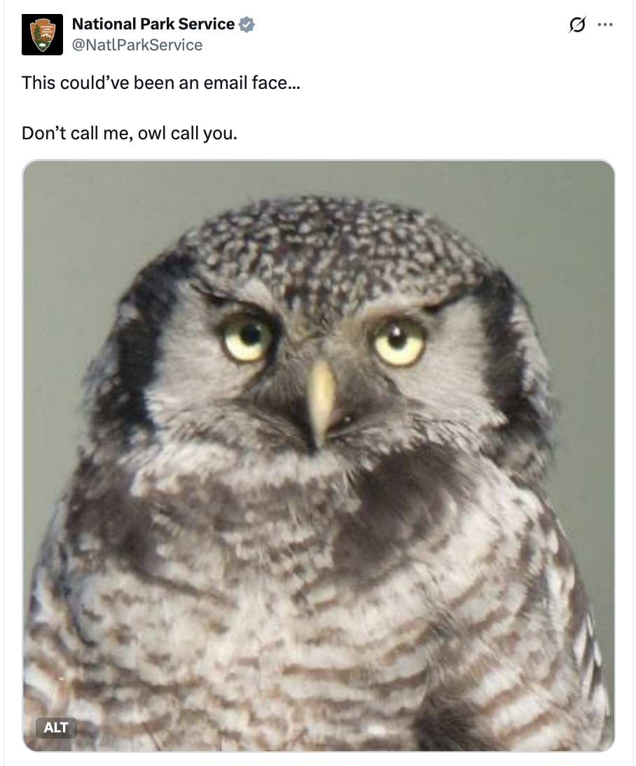 This could’ve been an email face...⁣