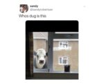 Times Scottish Twitter - FG