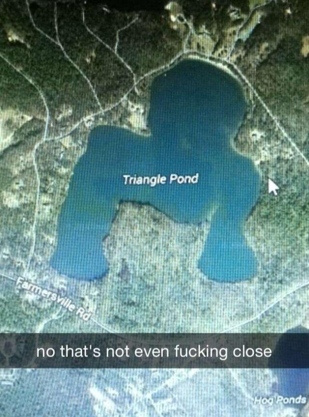 15 Memes: An Odyssey of Humor Across the Internet Cosmos 15 Triangle pond