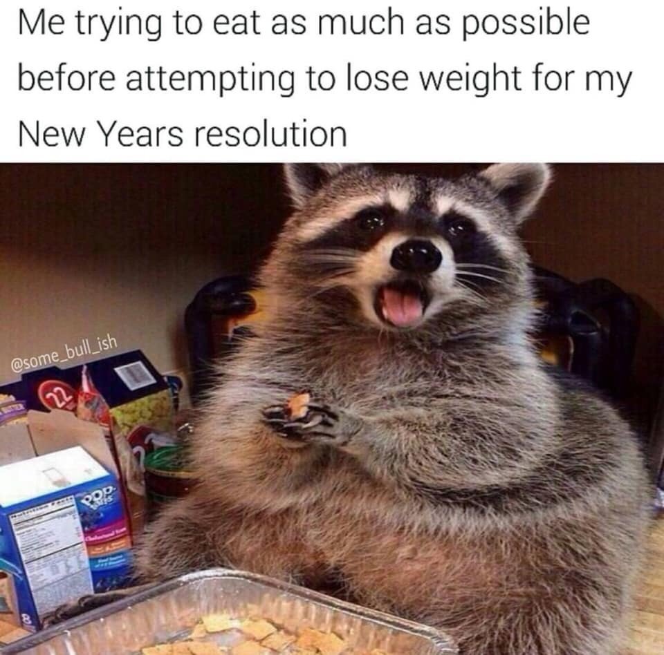 Before Ringing in 2024, Check Out These Hilarious New Year Resolution