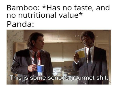 Unanticipated Memes - FG