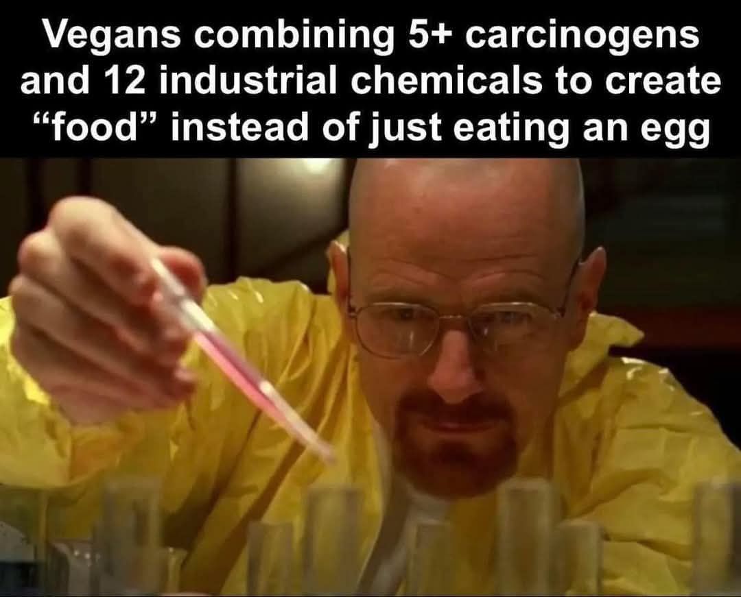 25 Wrong Memes That Are Surprisingly Incorrect, Yet Hilariously Amusing 25 Vegans combining