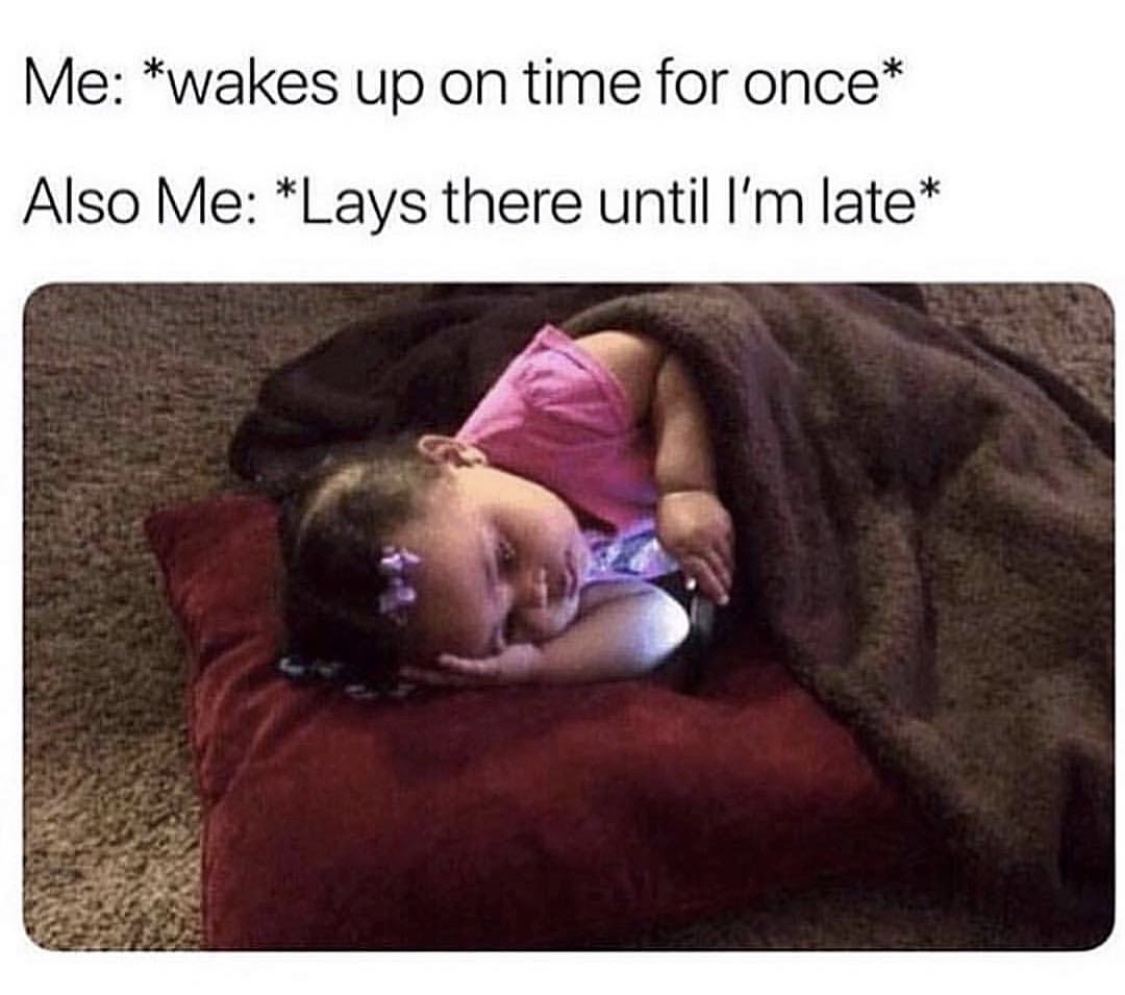 20 Memes for Silent Scrolling with an Unpredictable Blend of Laughter 12 Wake up on time