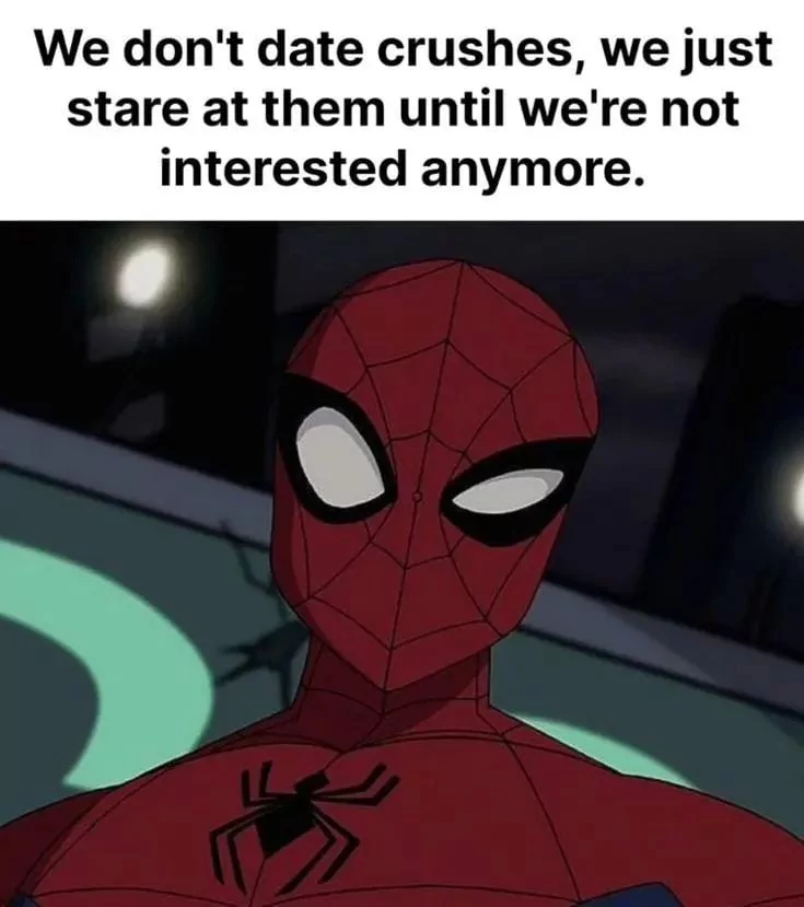 30 Crush Memes That Sum Up the Awkwardness of Secret Admirations 31 We dont date