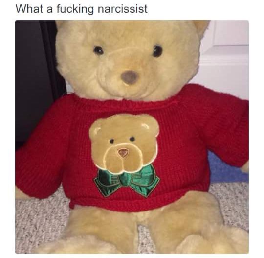 15 Narcissist Memes: A Hilarious Peek into the World of Self-Adoration 15 What a narcissist - Narcissist Memes