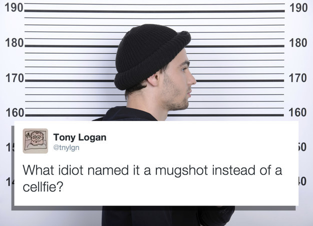 15 What Idiot Instances: When Words Fail, Laughter Prevails 8 What idiot called it mugshot