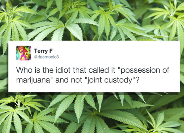 What idiot called it posession of marijuana