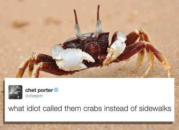 What idiot called them crabs