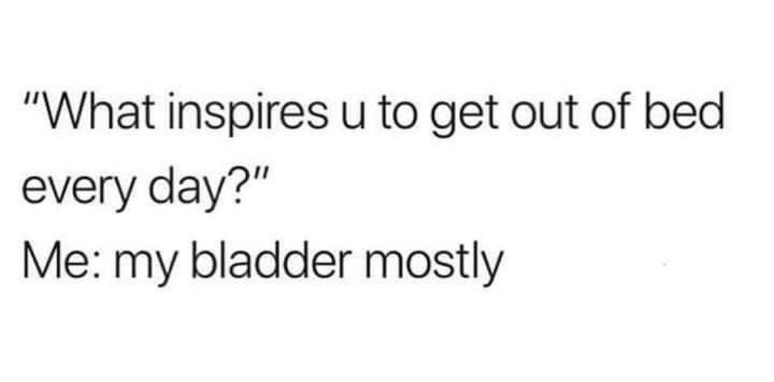 20 Laugh-Out-Loud Memes to Elevate Your Mood Instantly 11 What inspires you - Laugh-Out-Loud Memes