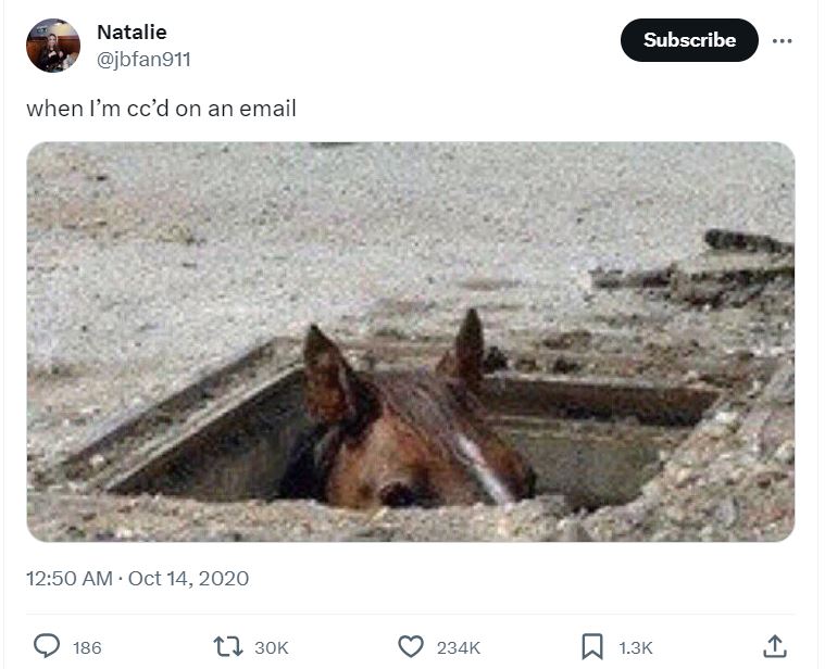 20 Funny Work Posts To Look at When You Should Be Working 20 When Im ccd on email - Funny Work Posts