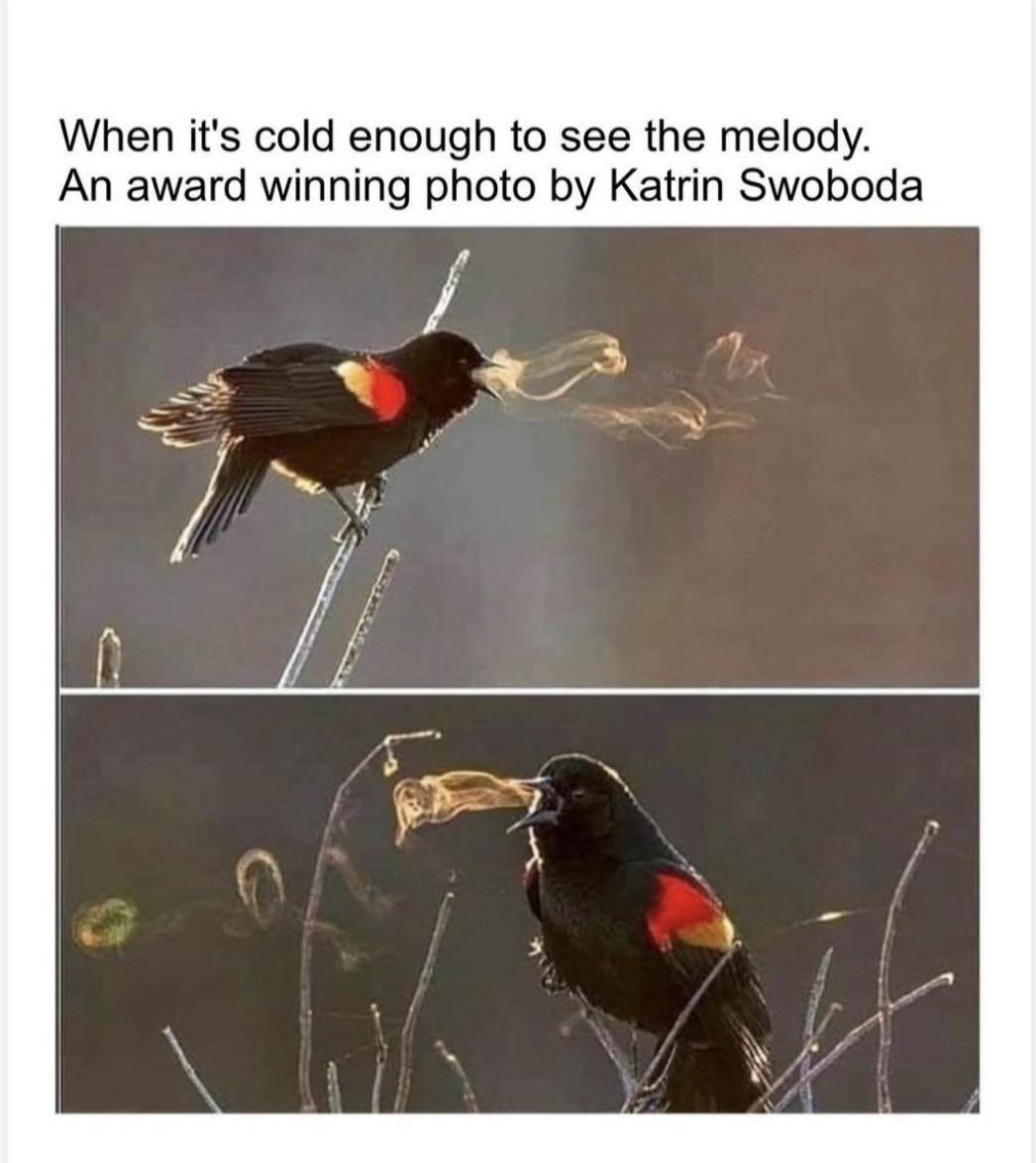 20 Hilarious Memes That Are Your Ultimate Coping Mechanism 13 When its cold enough