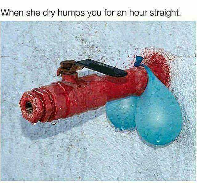 29 Horny Memes for a Naughty Giggle 17 When she dryumps - Horny Memes