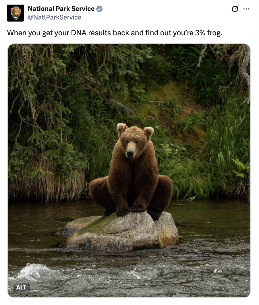 When you get your DNA results back and find out you’re 3% frog.