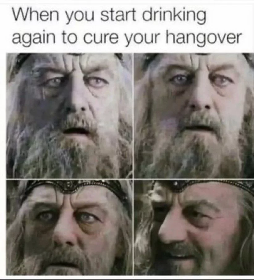 23 Hangover Memes That Very Well Captures The Pain Of Being In A Hungover 22 When you start drinking