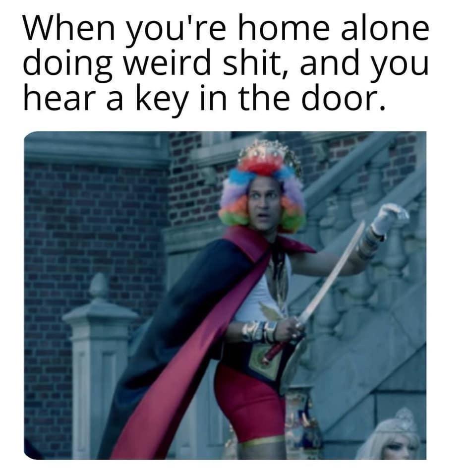Dive into the Diverse Meme Medley: 20 Laughter-Inducing Picks 18 When your home alone - Meme Medley