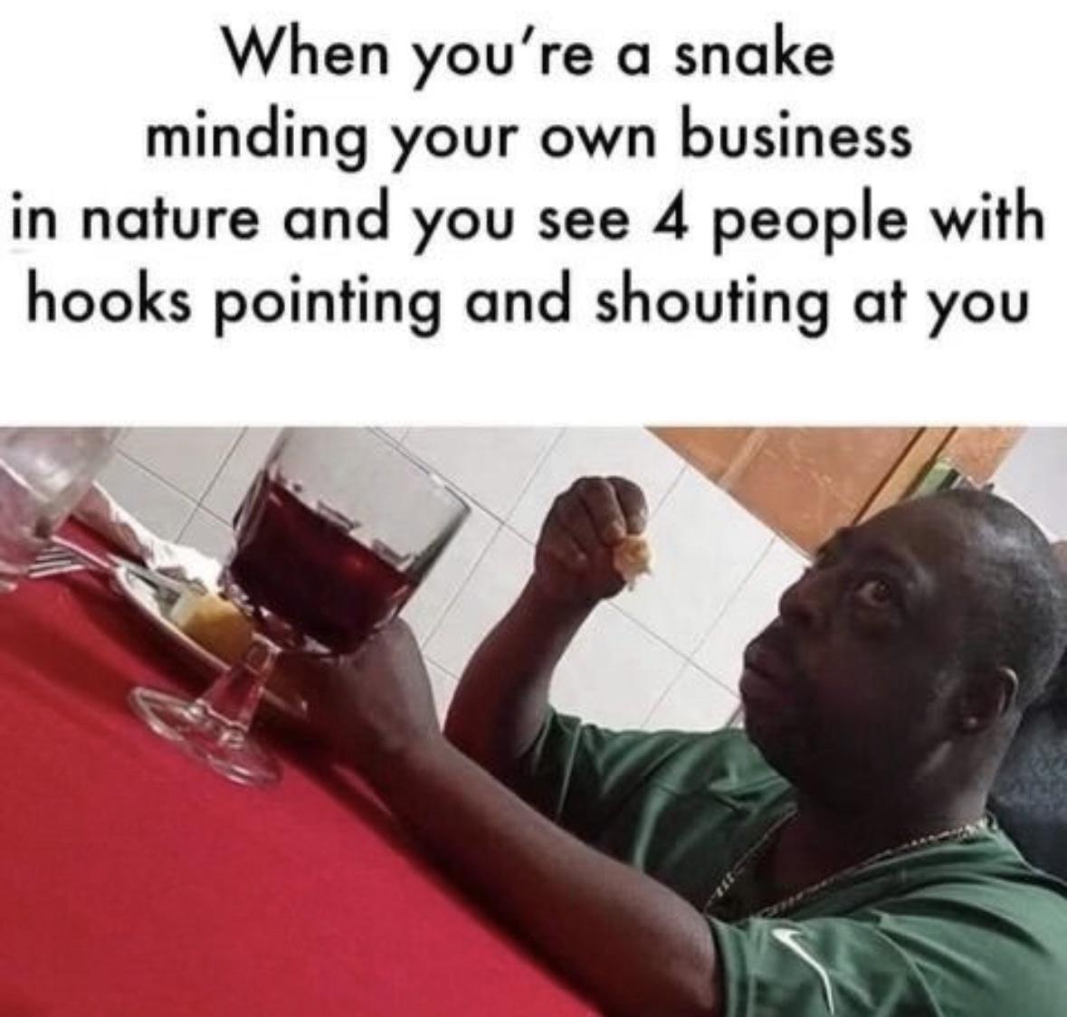 20 Hilarious Memes That Are Your Ultimate Coping Mechanism 15 When youre a snake