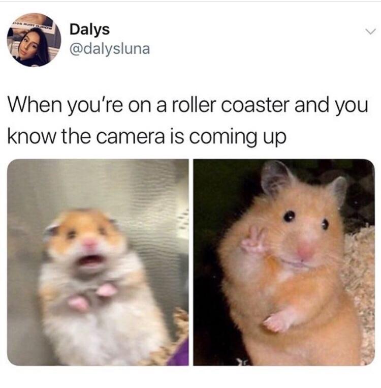 30 Unanticipated Memes That Are the Talk of the Town 25 When youre on a roller coaster - Unanticipated Memes
