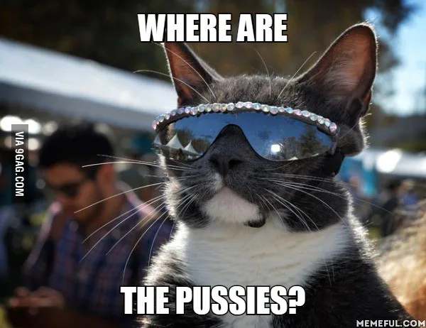 25 Hilarious Memes Of Animals Being Badass 25 Where are the - Animals Being Badass