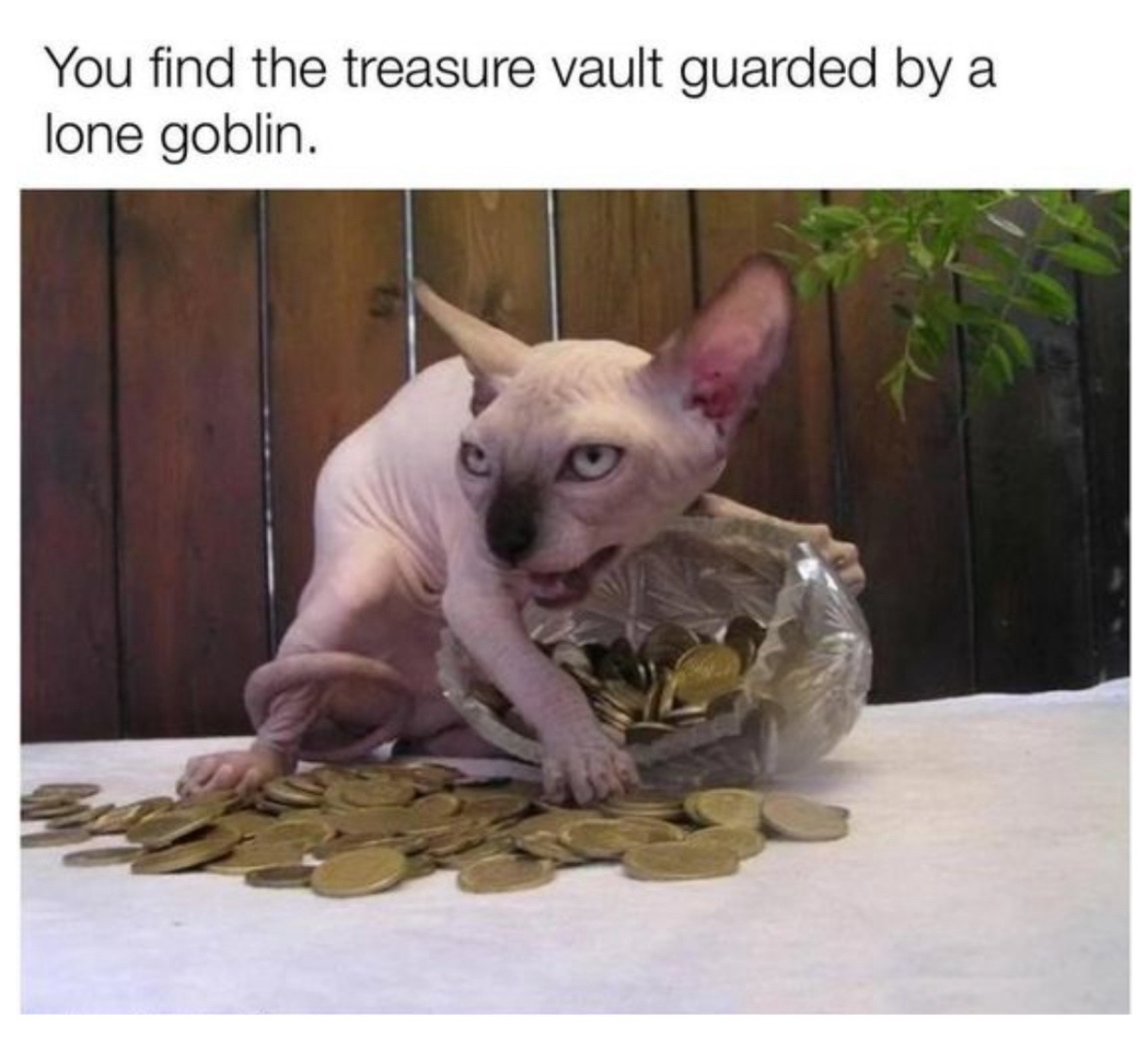 20 Hilarious Memes That Are Your Ultimate Coping Mechanism 20 You find the treasure