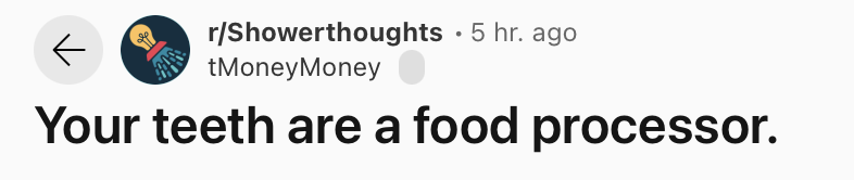 25 Funny and True Shower Thoughts That Will Make You Rethink 25 Your teeth are a food processor.