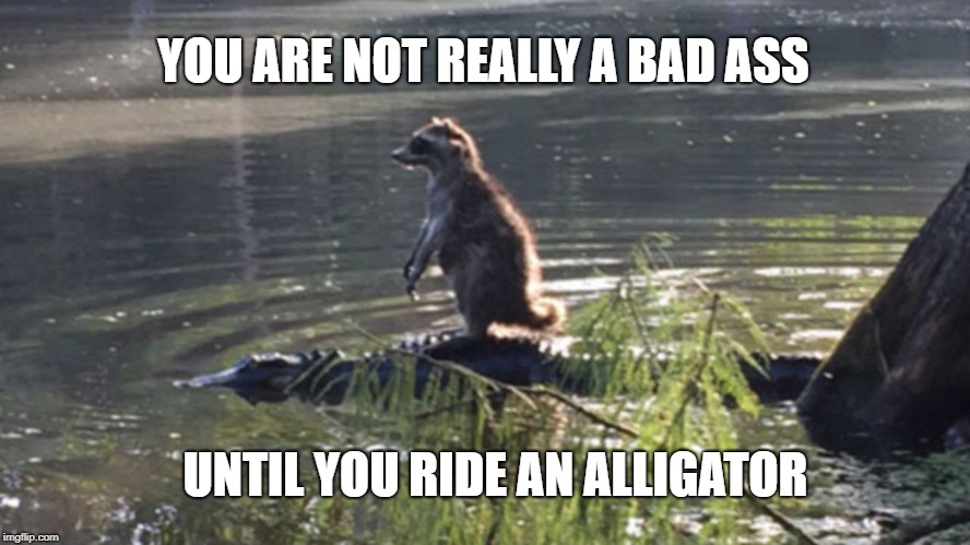 25 Hilarious Memes Of Animals Being Badass 20 Pickwick2