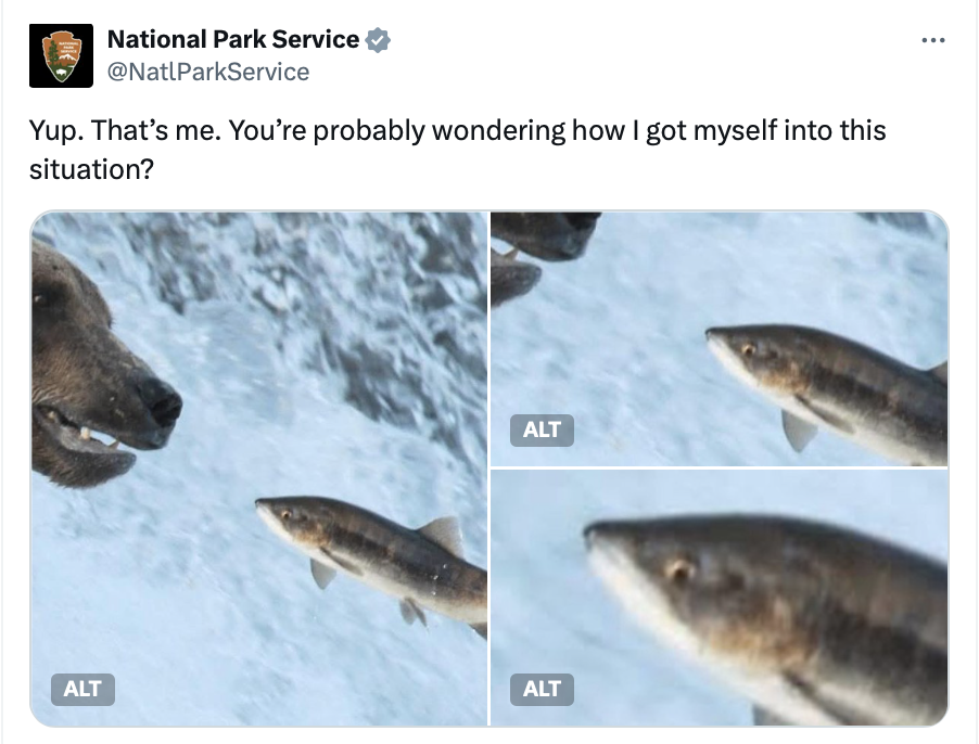 Yup. That’s me. You’re probably wondering how I got myself into this situation