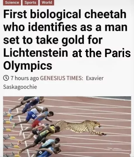 25 Cheetah Memes That Pounce on Humor! 23 cheetah identifies as man