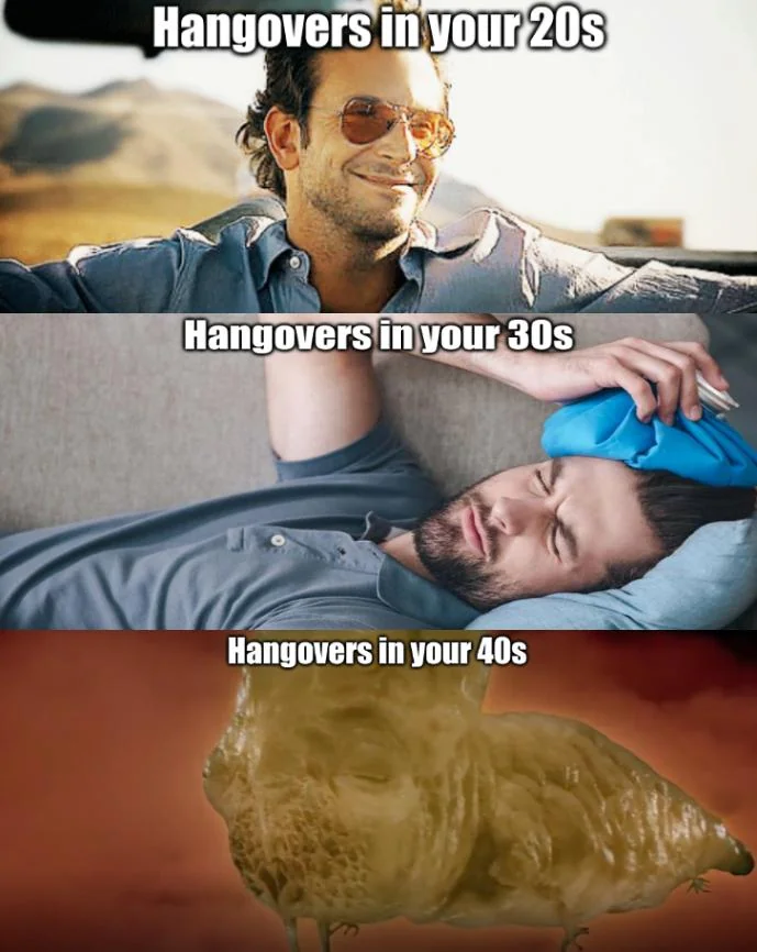 23 Hangover Memes That Very Well Captures The Pain Of Being In A Hungover 23 hangover in your 20s
