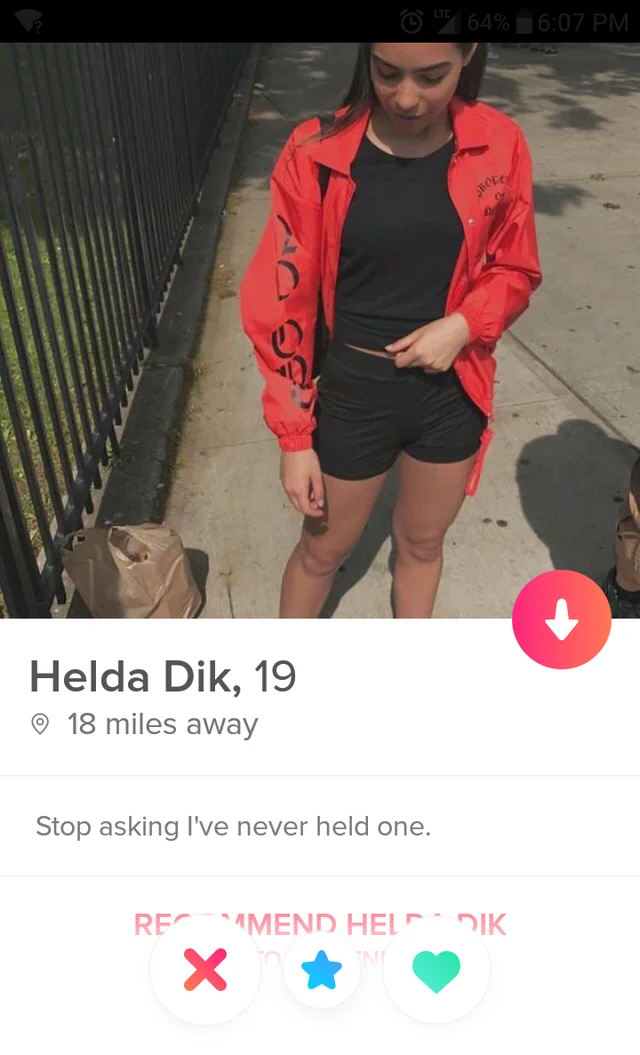 35 Funniest Tinder Bios That Will Make You Swipe Right 27 helda dik