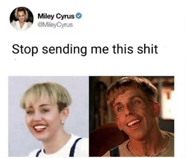 20 Best Stop Sending Me This Shit Memes 12 miley cyrus - Stop Sending Me This Shit Memes